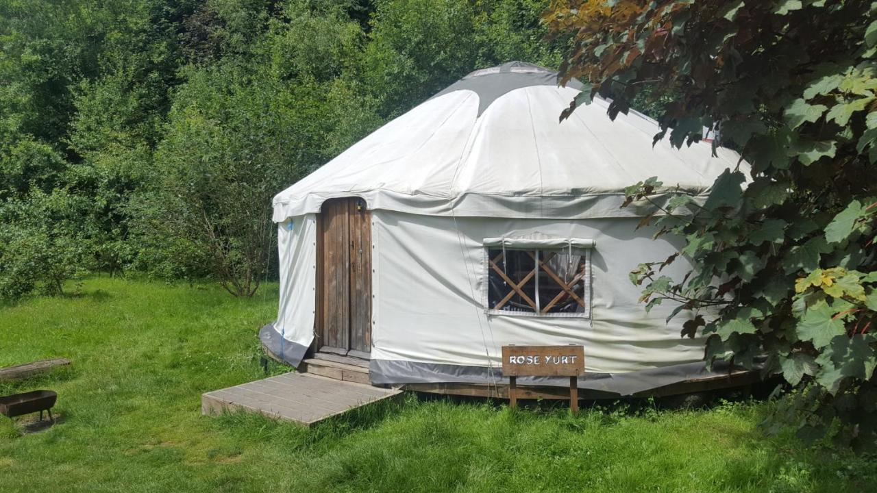 South Downs Eco Lodge & Camping East Meon Εξωτερικό φωτογραφία