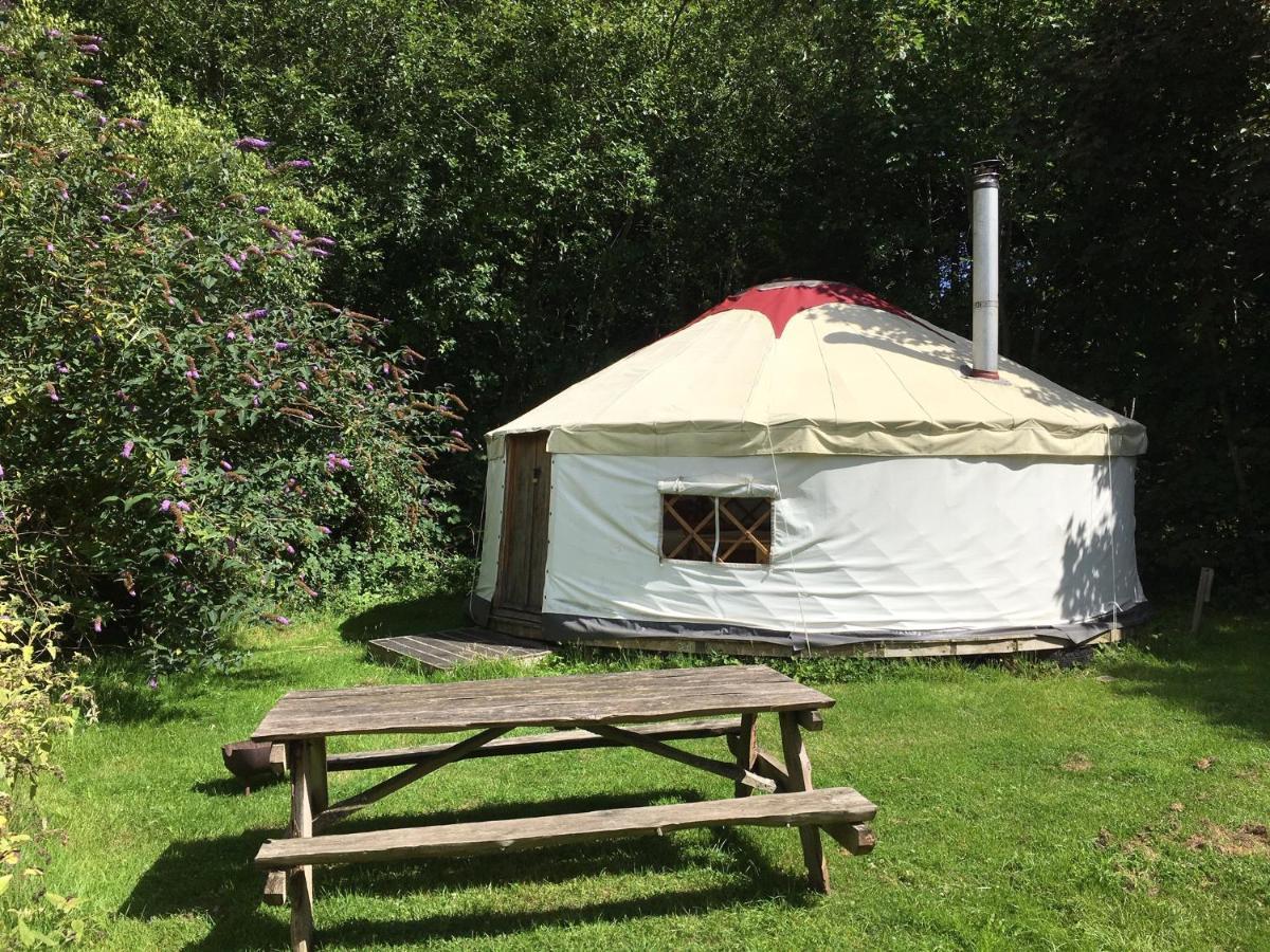 South Downs Eco Lodge & Camping East Meon Εξωτερικό φωτογραφία