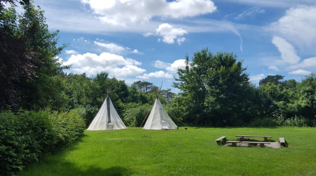 South Downs Eco Lodge & Camping East Meon Εξωτερικό φωτογραφία