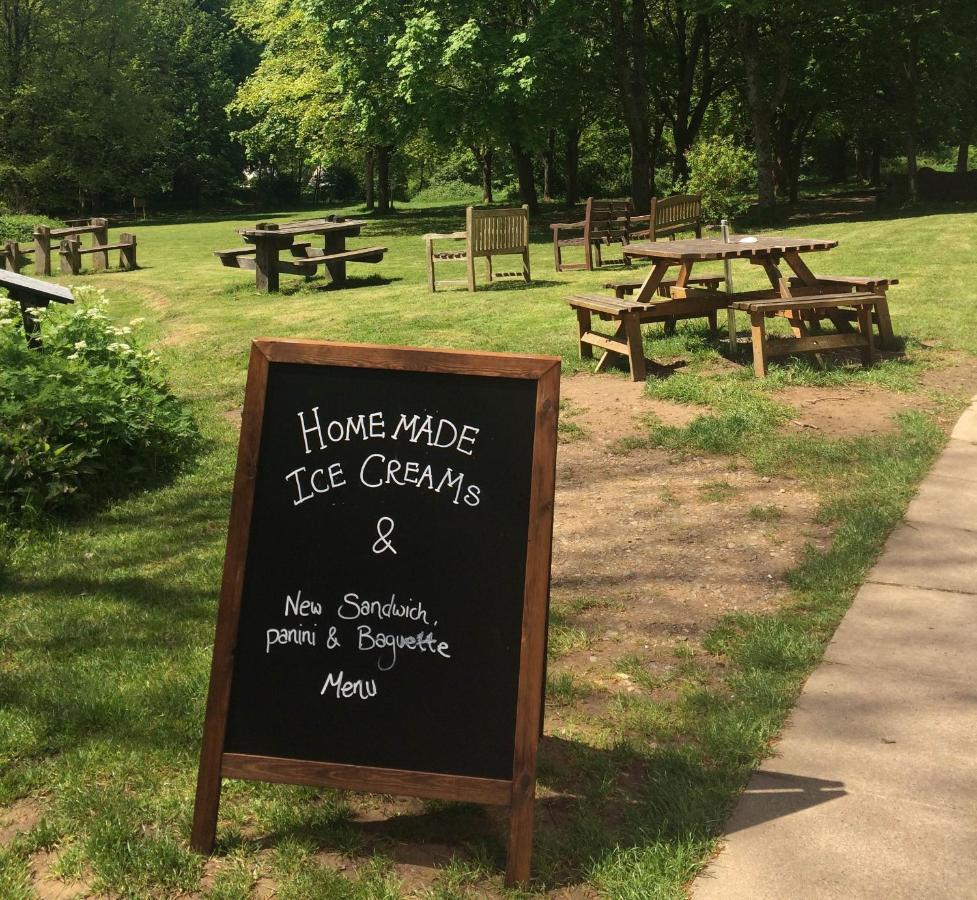 South Downs Eco Lodge & Camping East Meon Εξωτερικό φωτογραφία