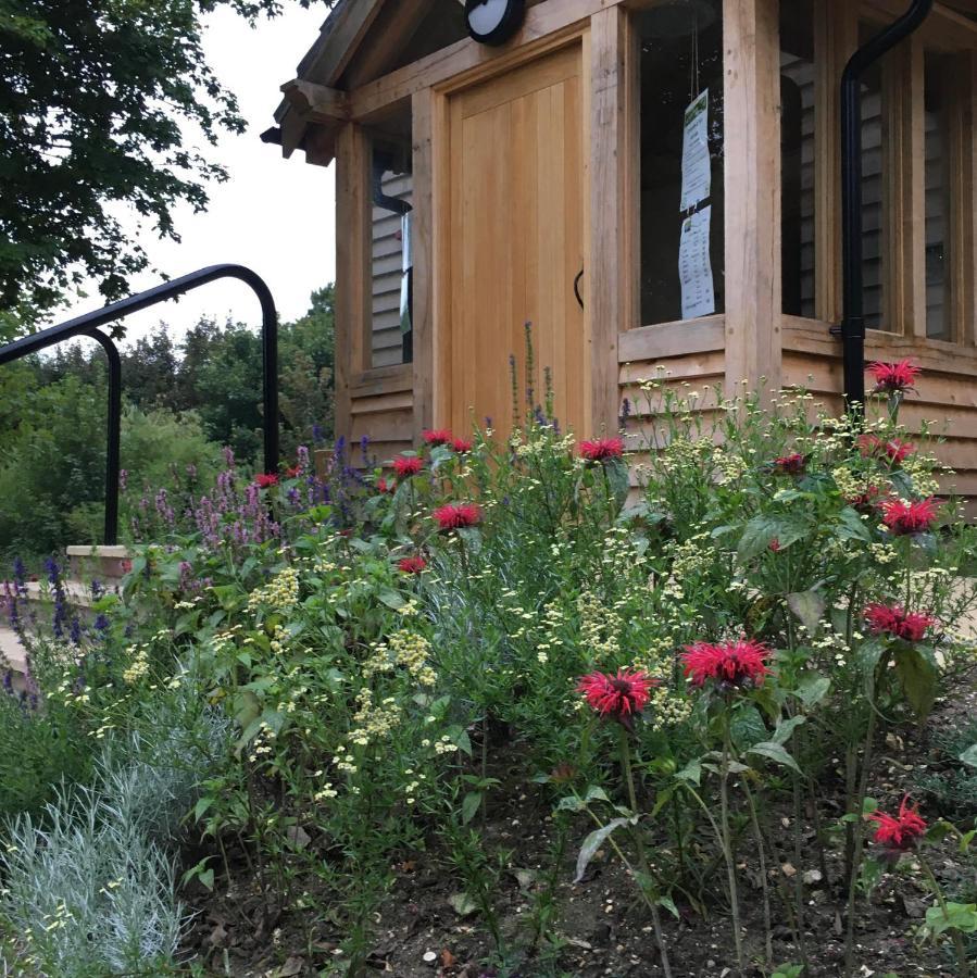 South Downs Eco Lodge & Camping East Meon Εξωτερικό φωτογραφία