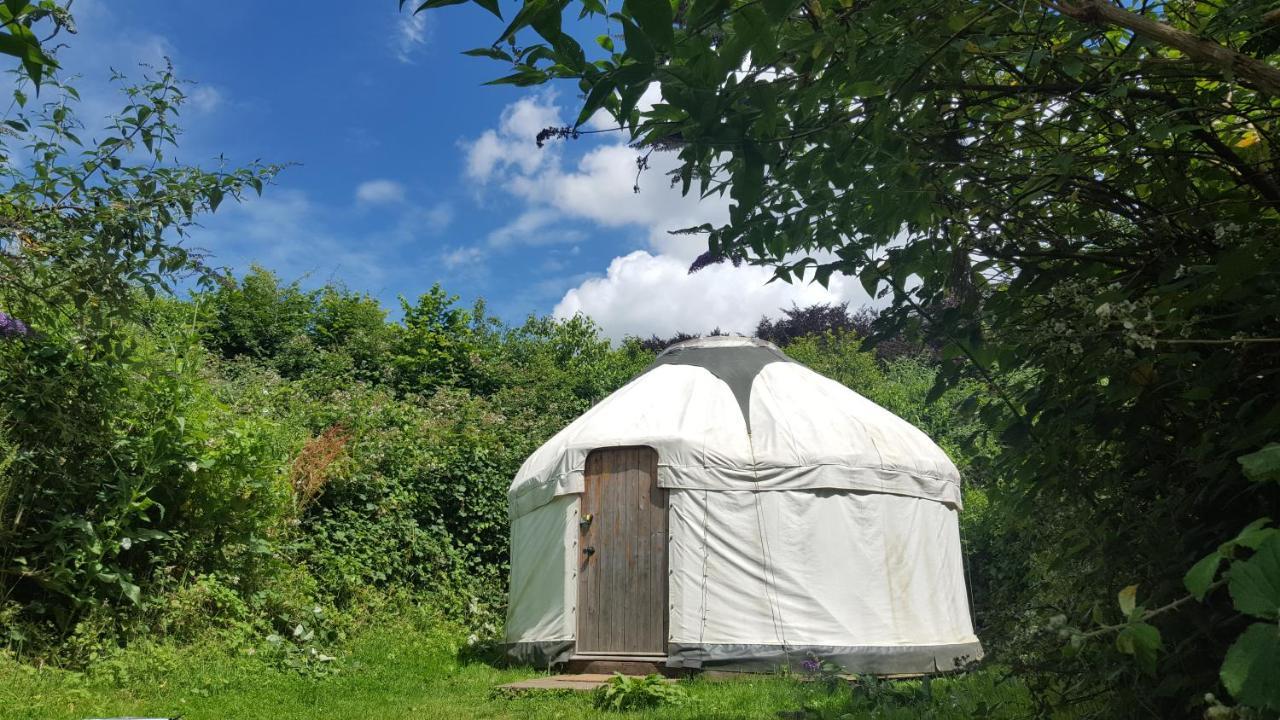 South Downs Eco Lodge & Camping East Meon Εξωτερικό φωτογραφία