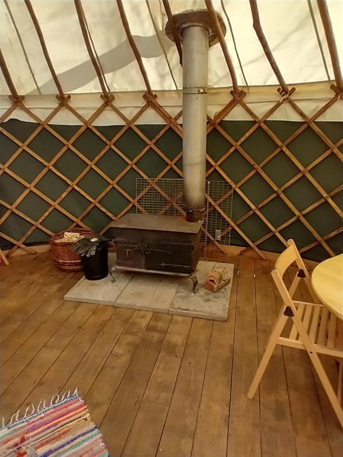South Downs Eco Lodge & Camping East Meon Εξωτερικό φωτογραφία