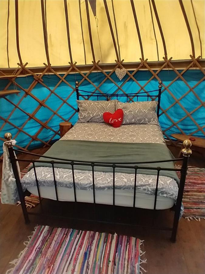 South Downs Eco Lodge & Camping East Meon Εξωτερικό φωτογραφία